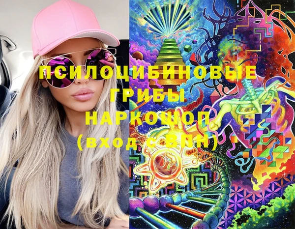 шишки Нефтекумск