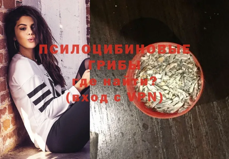 Галлюциногенные грибы GOLDEN TEACHER  Агидель 