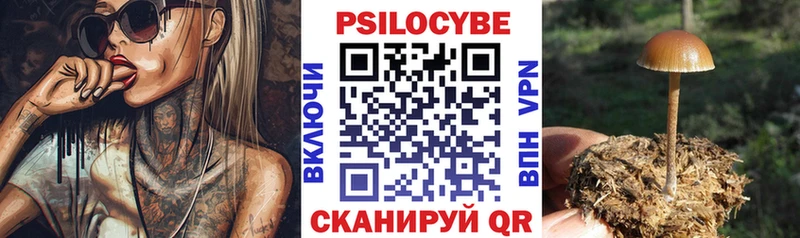 где можно купить наркотик  Агидель  Псилоцибиновые грибы мухоморы 